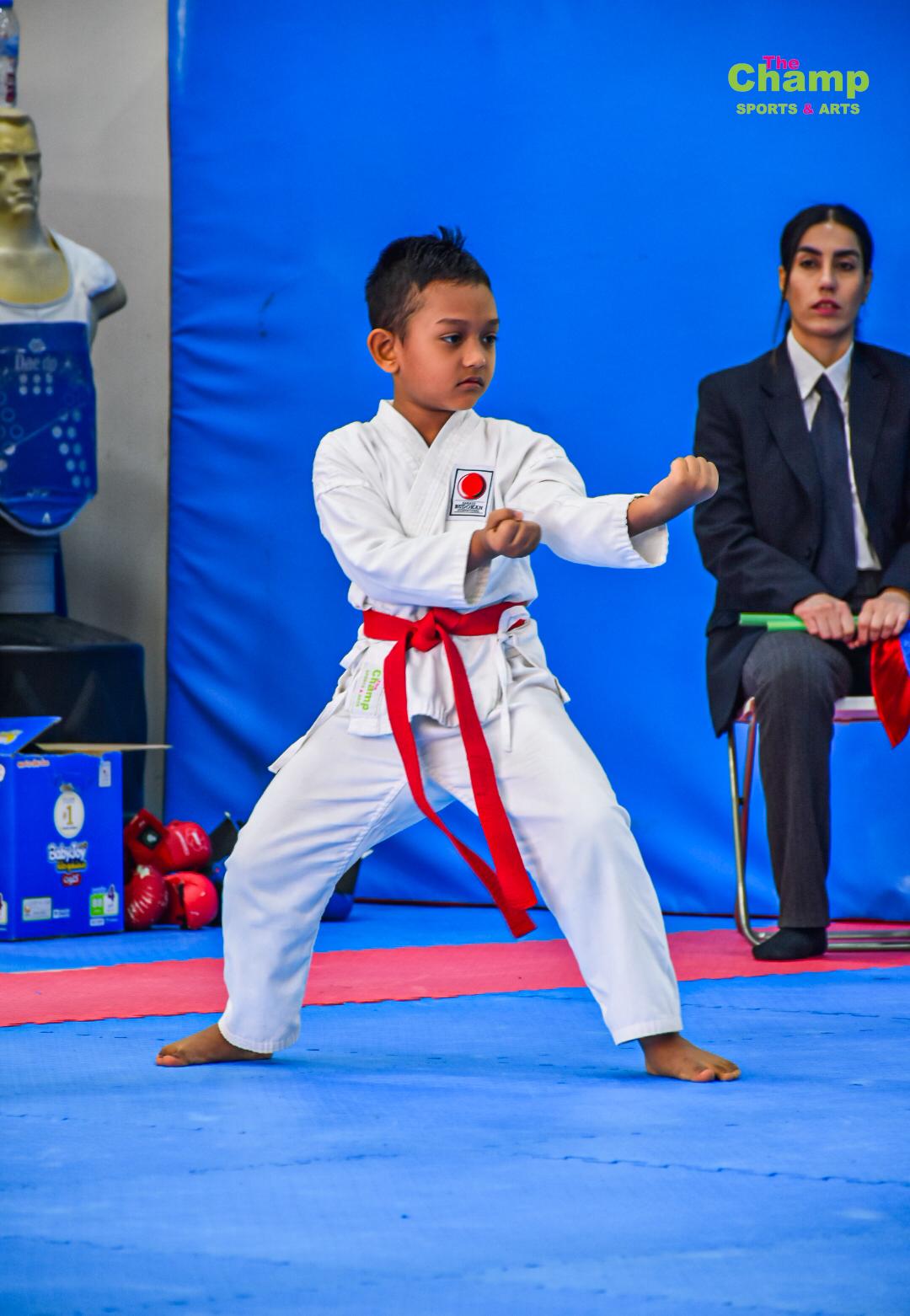 Martial Arts