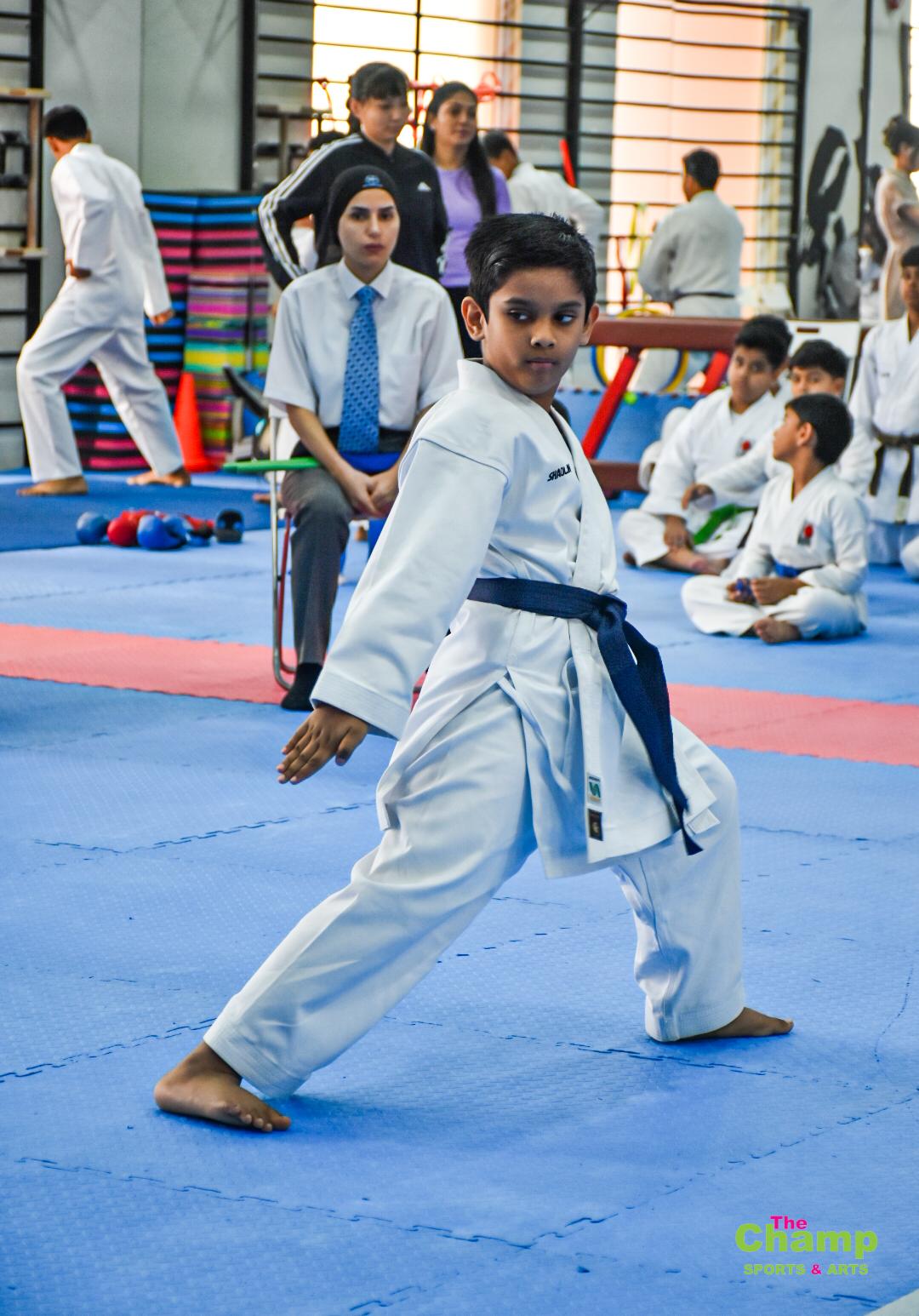 Karate Move