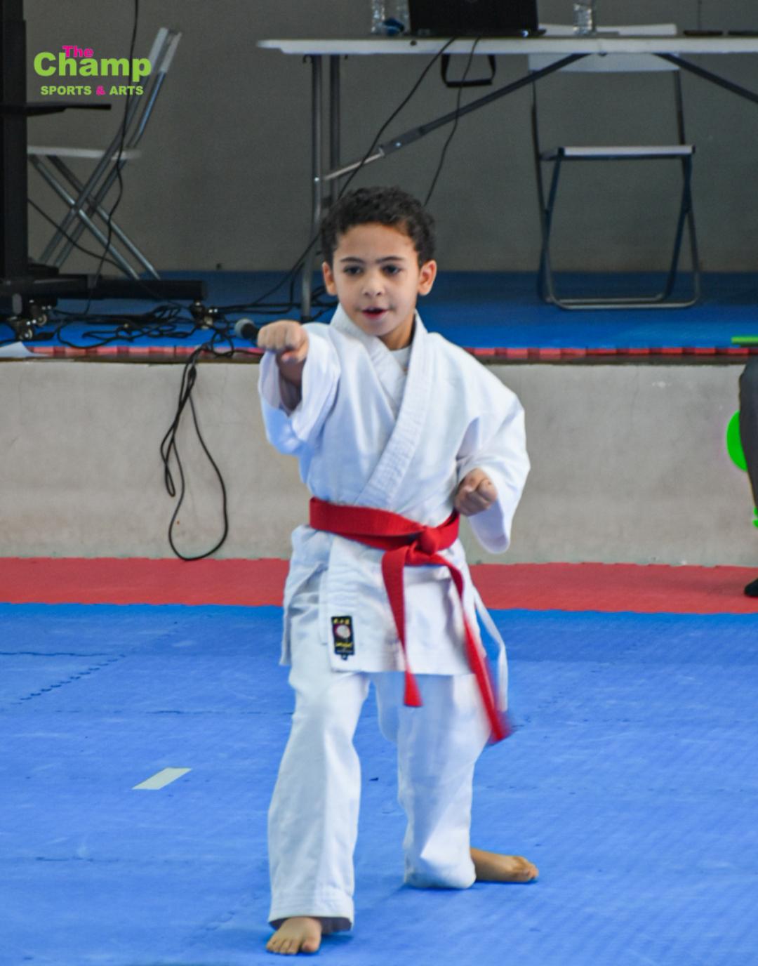 Kata Execution