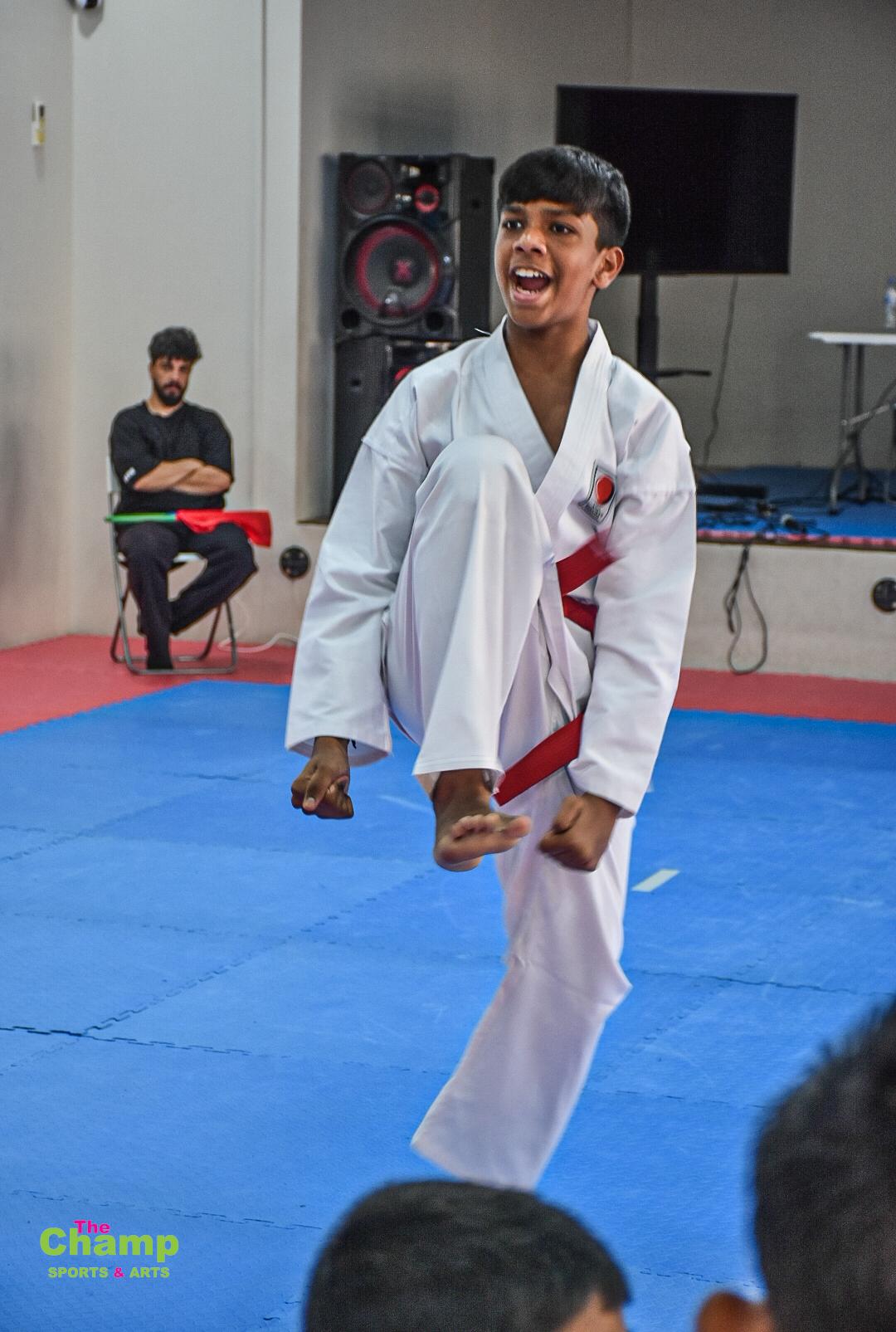 Karate Stance